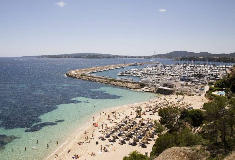 Tomir Portals Suites  Adults Only