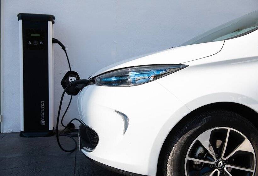 Tomir Portals Suites  Adults Only