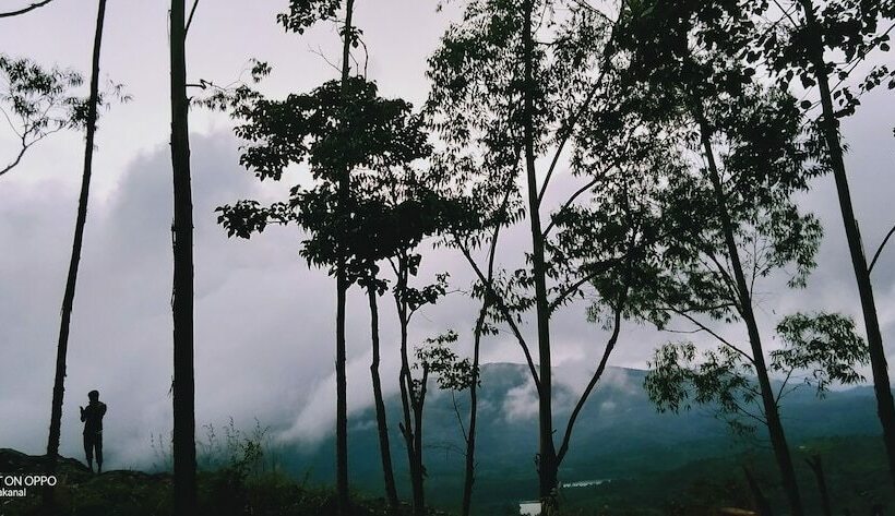 酒店 Lake View Camp