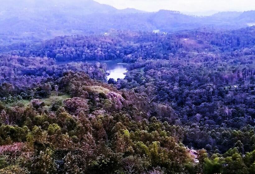 酒店 Lake View Camp