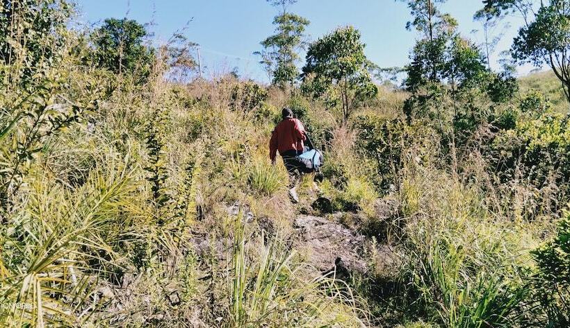 酒店 Lake View Camp