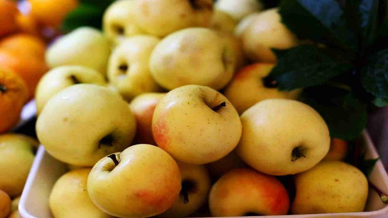 Alize Hotel Oludeniz   All Inclusive