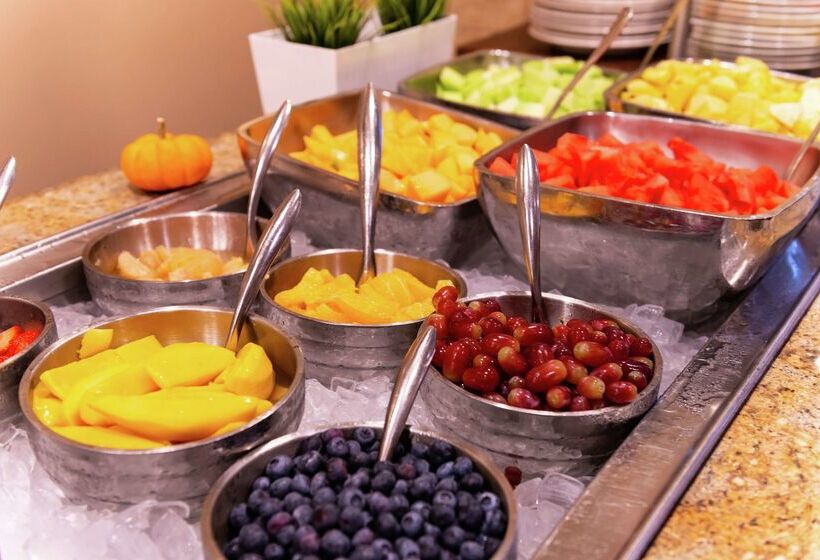 Doubletree By Hilton Hotel Tampa Airport  Westshore