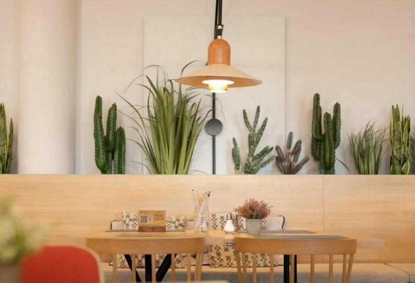 Hd Parque Cristobal Gran Canaria