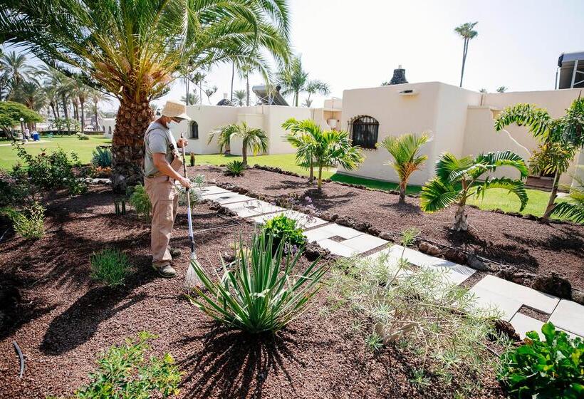 Hd Parque Cristobal Gran Canaria