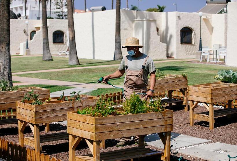 Hd Parque Cristobal Gran Canaria