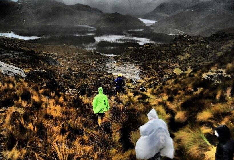فندق فئة نجمة واحدة Posada Del Angel