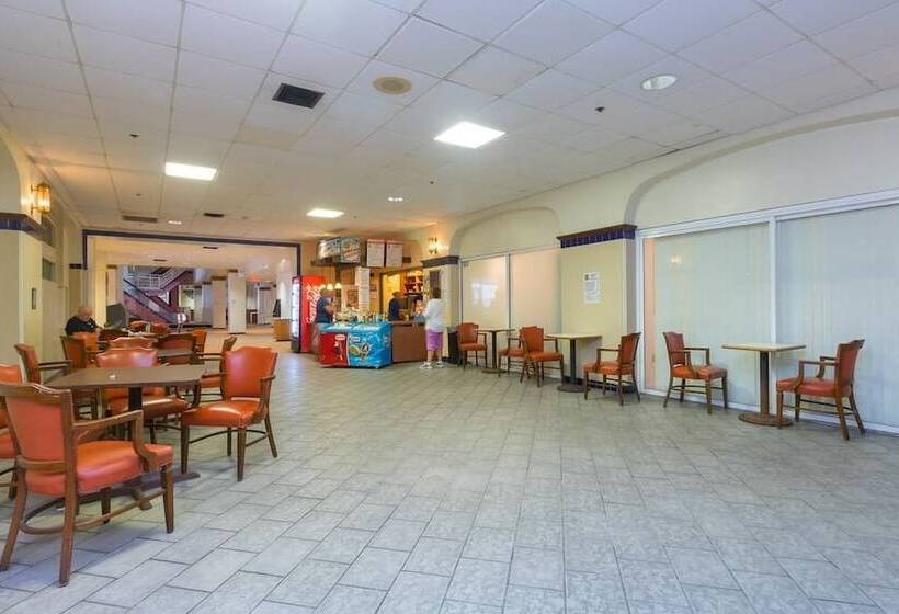 酒店 638 Ocean View Hollywood