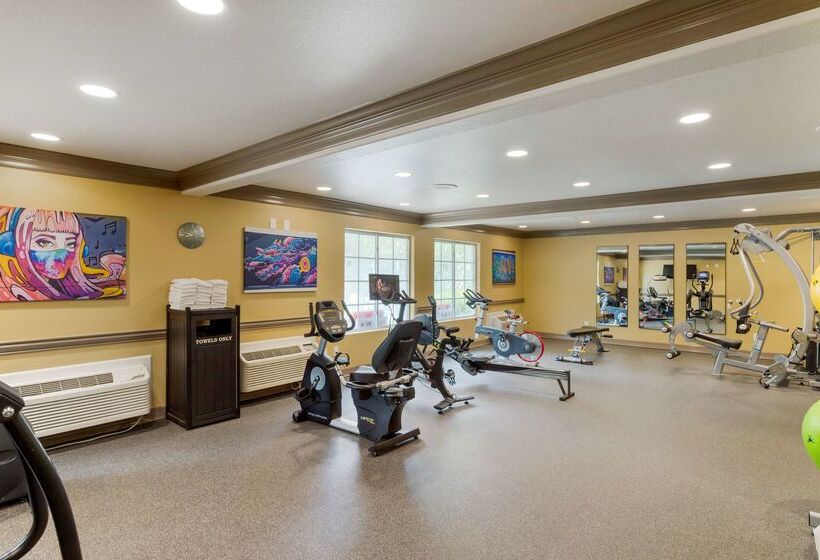 Отель Aiden Austin City