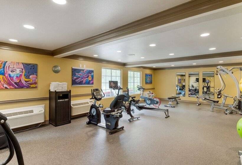 Отель Aiden Austin City