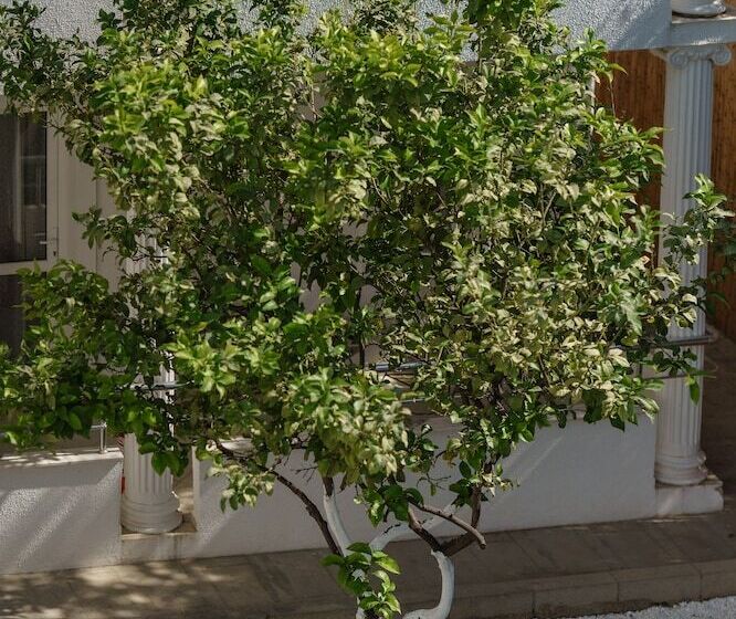 Отель Costa Maya Bodrum