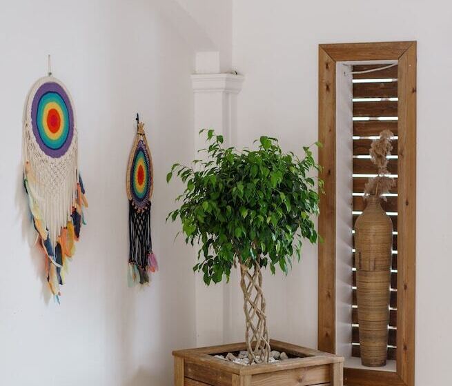 Отель Costa Maya Bodrum