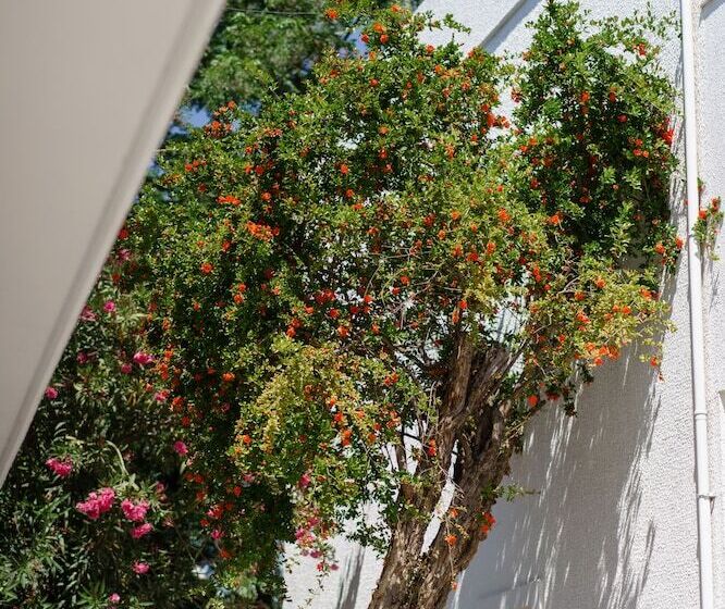 Отель Costa Maya Bodrum