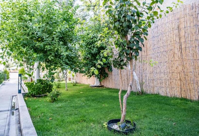 Отель Costa Maya Bodrum