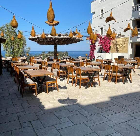 Отель Carina Entertainment