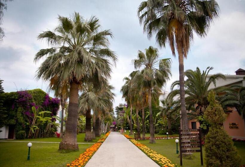 ホテル Club Boran Mare Beach   All Inclusive