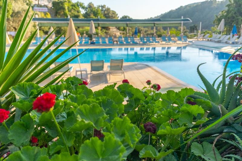 Отель Club Pink Palace