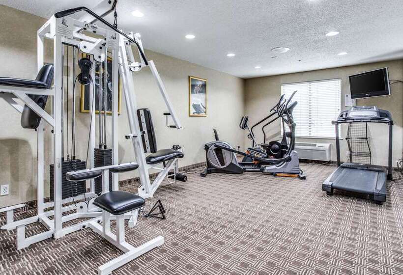 هتل Comfort Inn & Suites Love Field Dallas Market Center