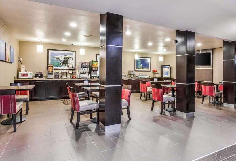 هتل Comfort Inn & Suites Love Field Dallas Market Center