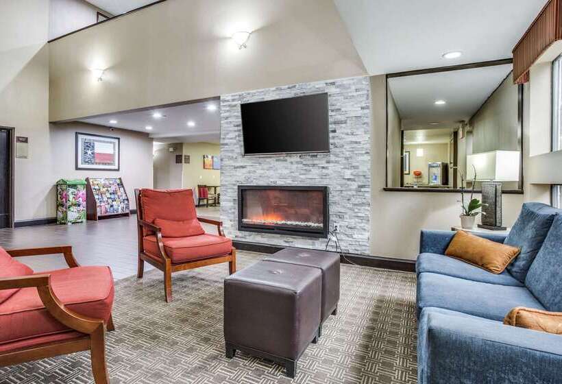酒店 Comfort Inn & Suites Love Field Dallas Market Center