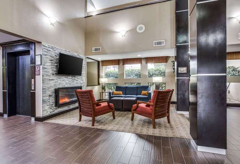 酒店 Comfort Inn & Suites Love Field Dallas Market Center