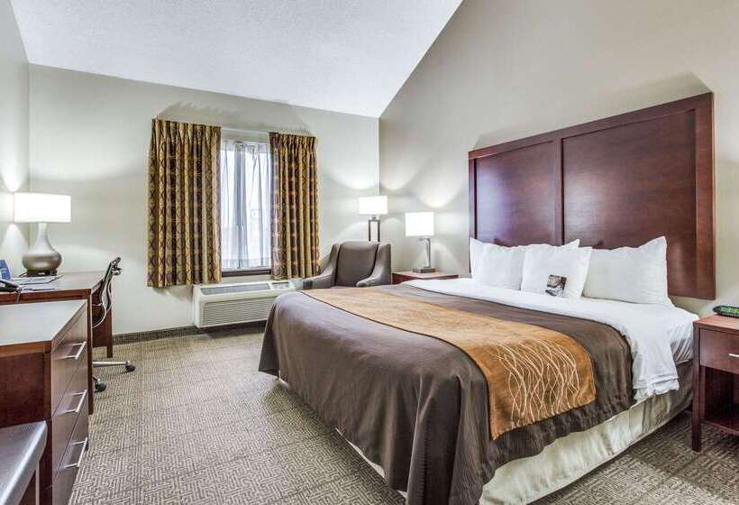 酒店 Comfort Inn & Suites Love Field Dallas Market Center