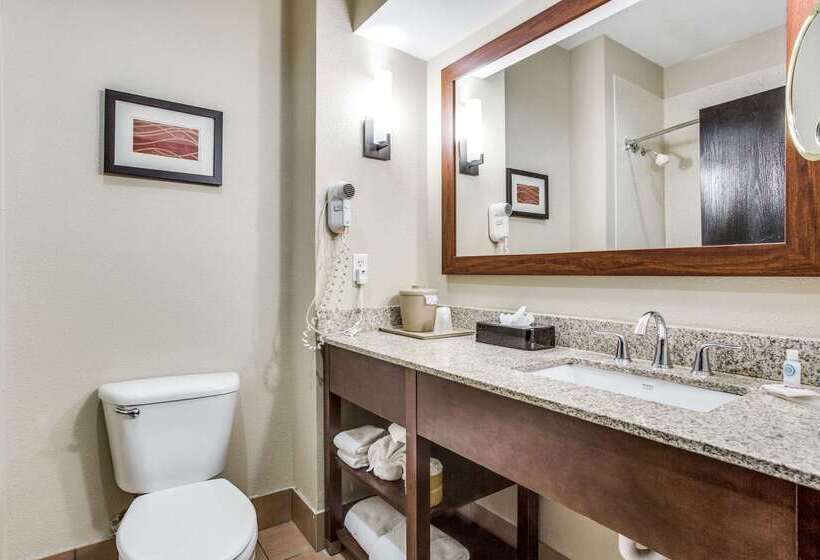 酒店 Comfort Inn & Suites Love Field Dallas Market Center