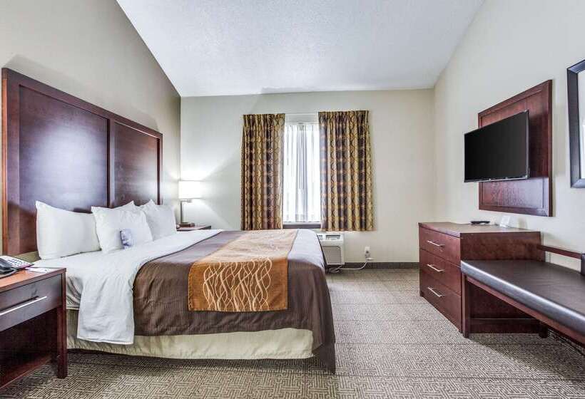 酒店 Comfort Inn & Suites Love Field Dallas Market Center