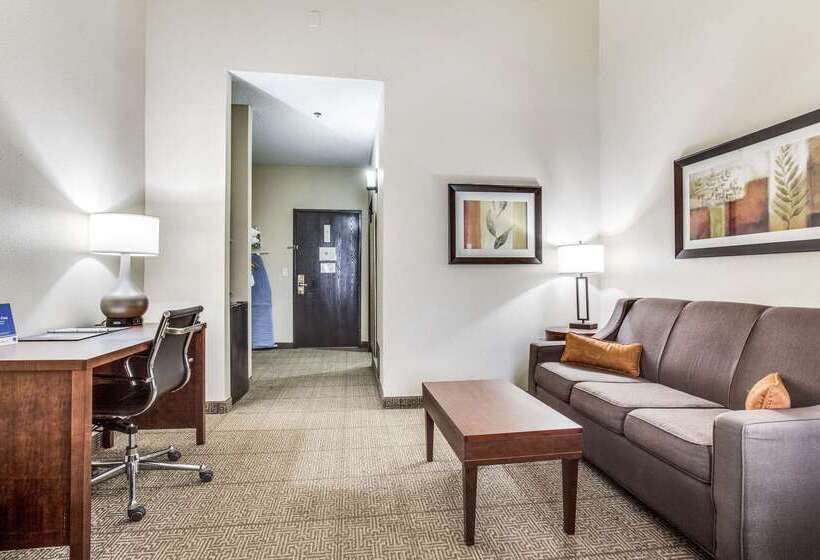 酒店 Comfort Inn & Suites Love Field Dallas Market Center