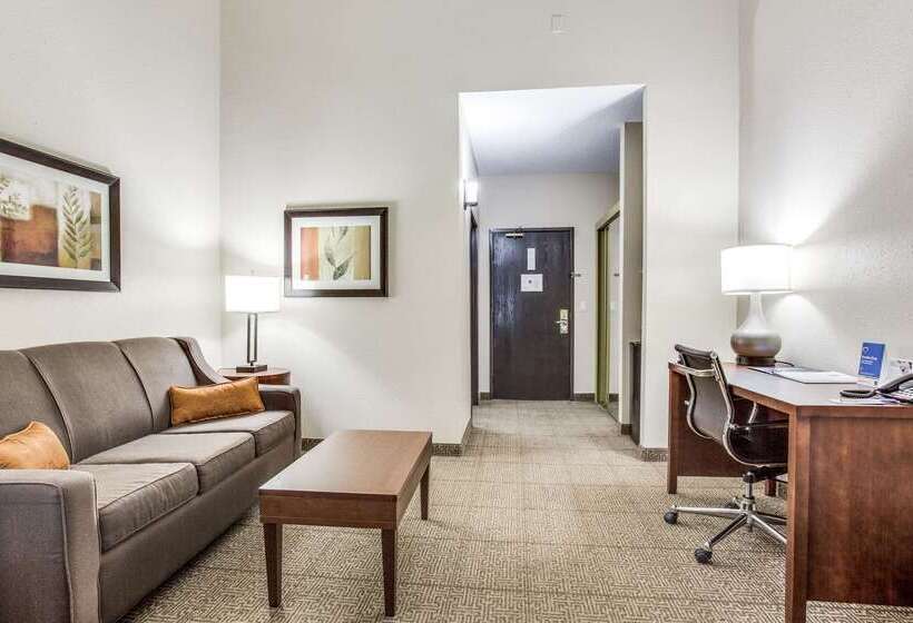 هتل Comfort Inn & Suites Love Field Dallas Market Center