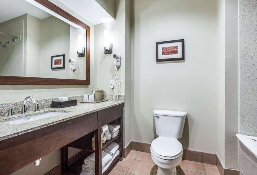 酒店 Comfort Inn & Suites Love Field Dallas Market Center