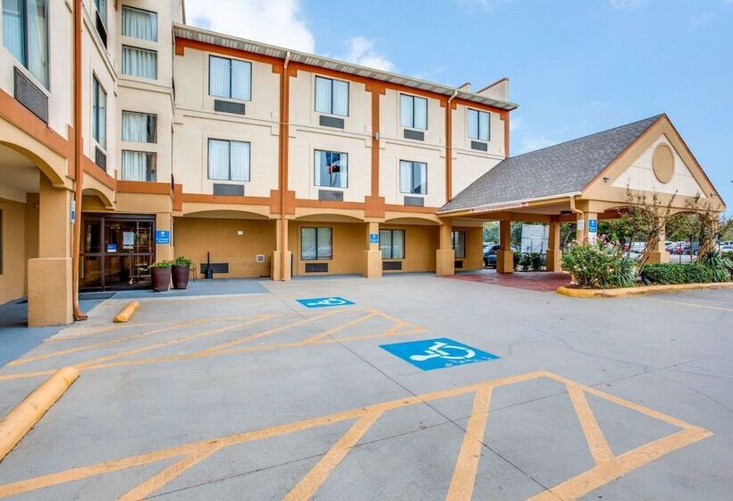 酒店 Comfort Inn & Suites Love Field Dallas Market Center