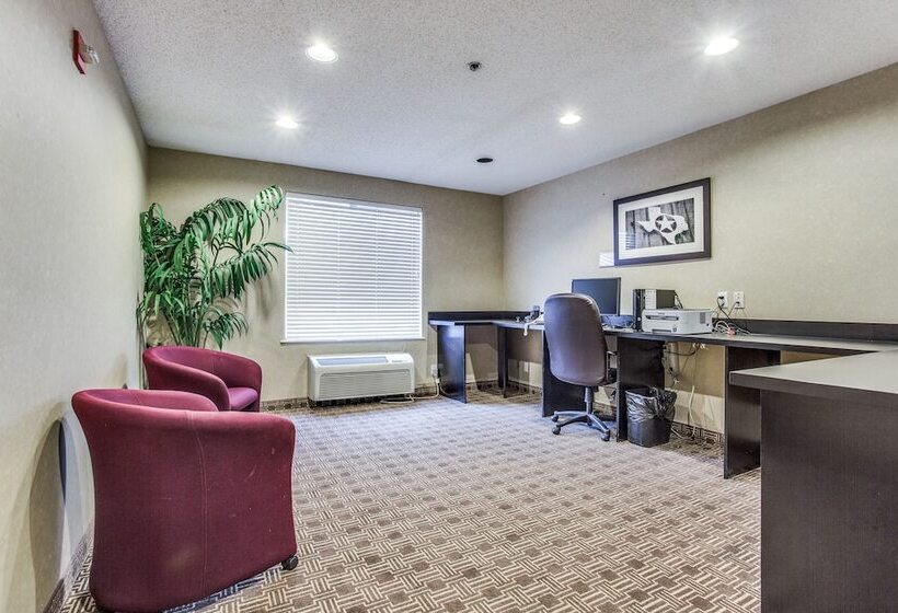 酒店 Comfort Inn & Suites Love Field Dallas Market Center