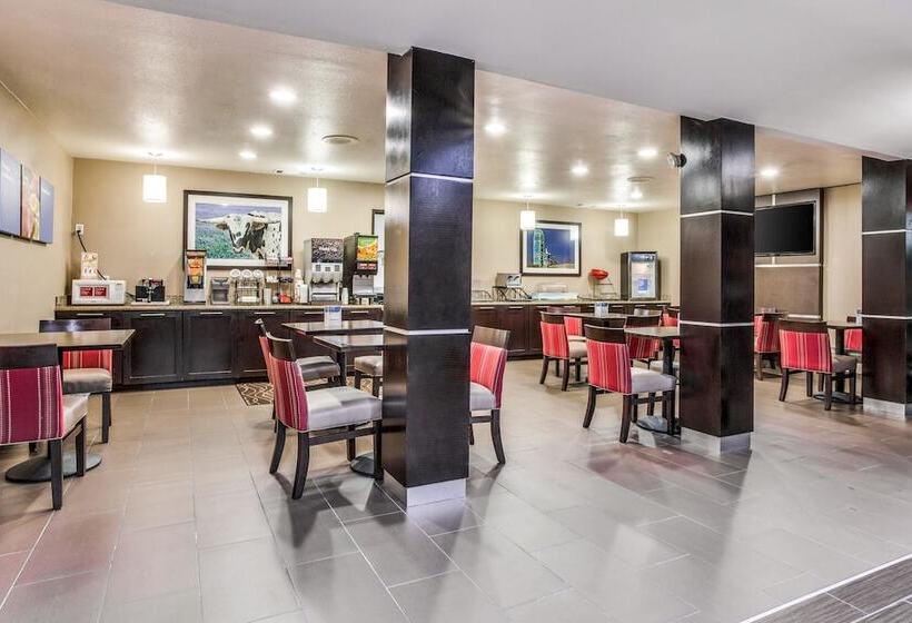 酒店 Comfort Inn & Suites Love Field Dallas Market Center