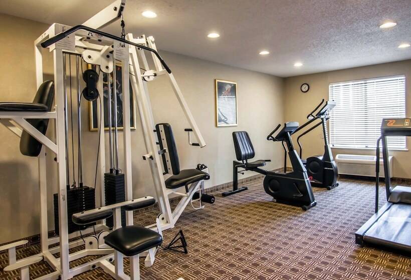 酒店 Comfort Inn & Suites Love Field Dallas Market Center