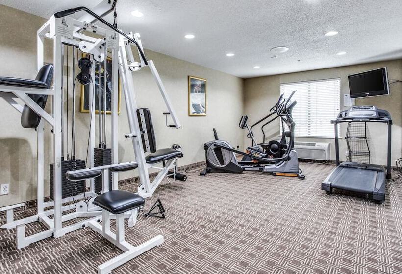 酒店 Comfort Inn & Suites Love Field Dallas Market Center