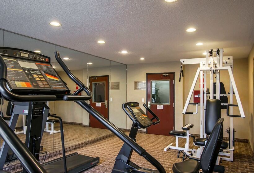 酒店 Comfort Inn & Suites Love Field Dallas Market Center