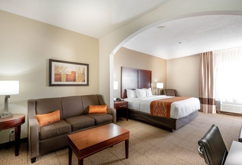 酒店 Comfort Inn & Suites Love Field Dallas Market Center