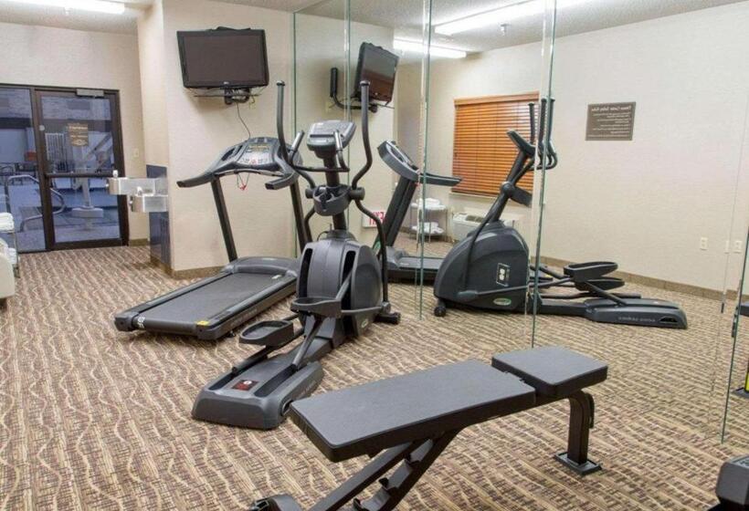 هتل Quality Inn Dfw Airport North