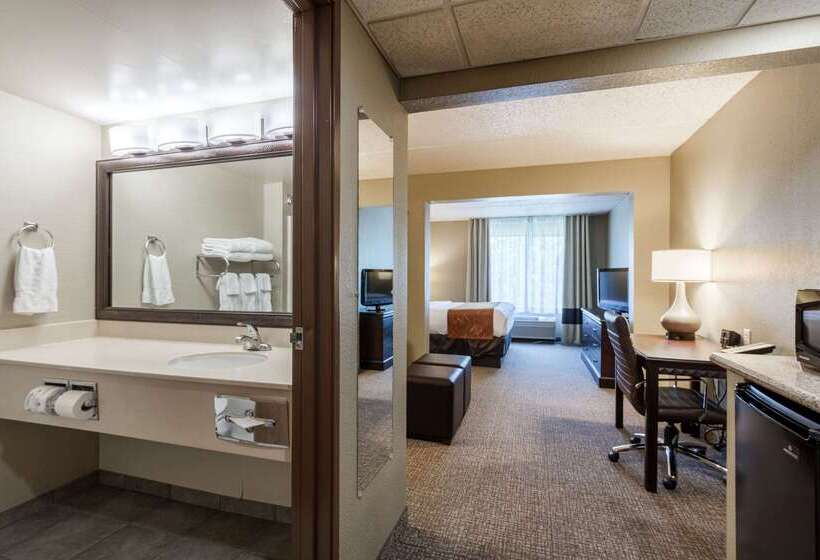 فندق Comfort Suites Austin Airport