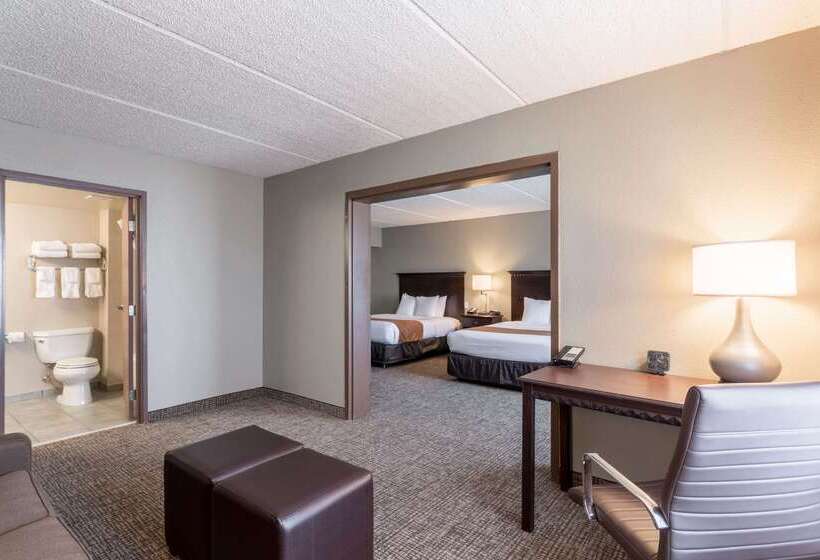 فندق Comfort Suites Austin Airport