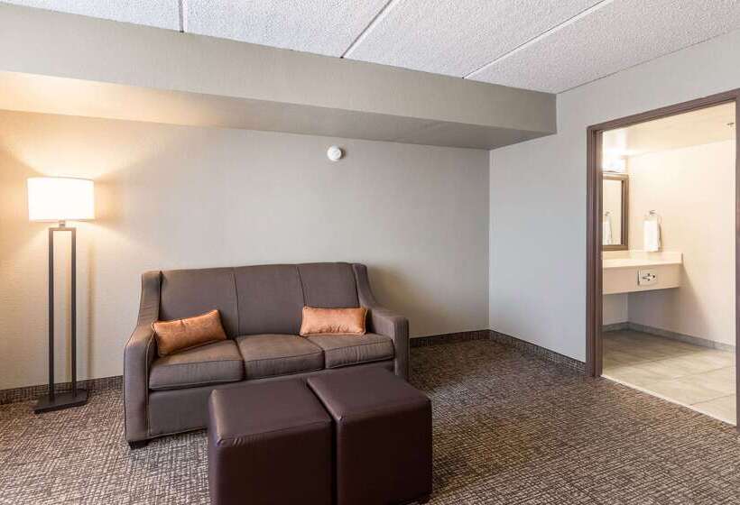 فندق Comfort Suites Austin Airport
