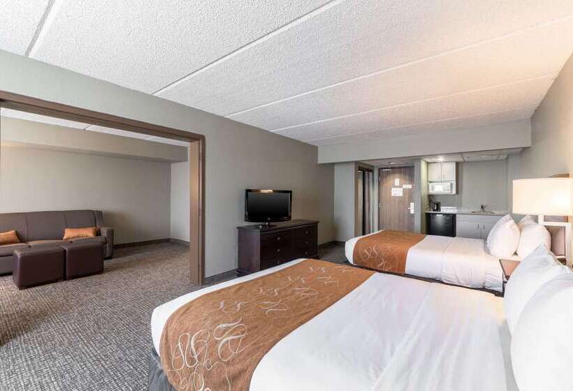 فندق Comfort Suites Austin Airport