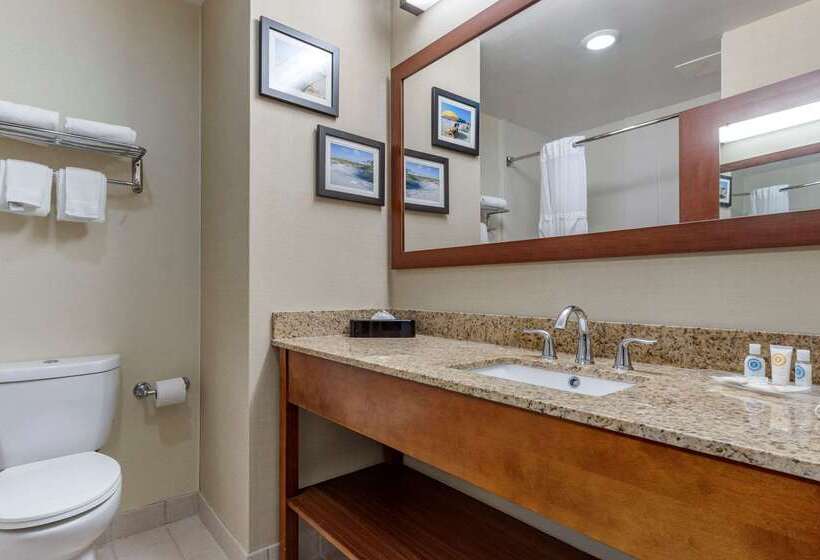 هتل Comfort Suites Myrtle Beach Central