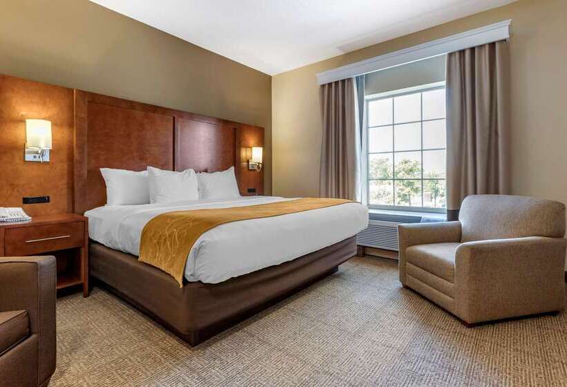 هتل Comfort Suites Myrtle Beach Central