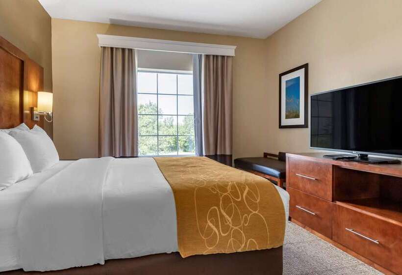 酒店 Comfort Suites Myrtle Beach Central