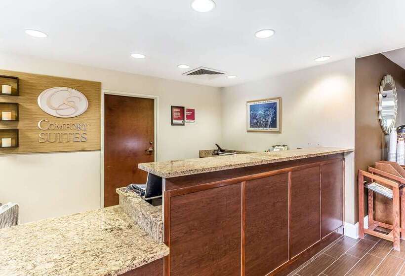 酒店 Comfort Suites Myrtle Beach Central