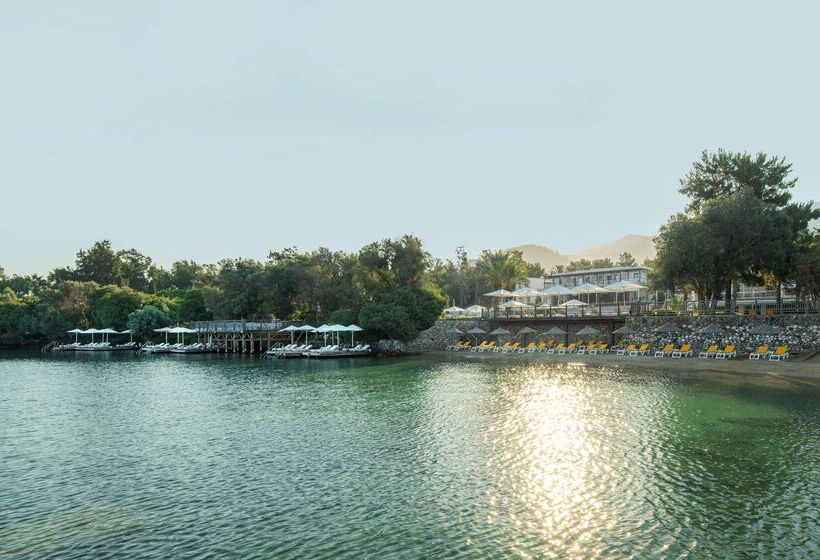 酒店 Doubletree By Hilton Bodrum Isil Club Resort