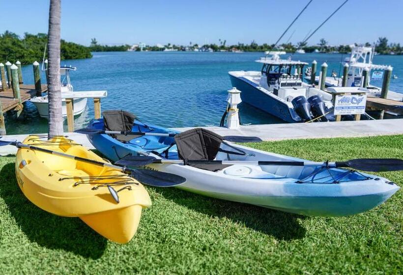 בית מלון כפרי Fairfield By Marriott Inn & Suites Marathon Florida Keys