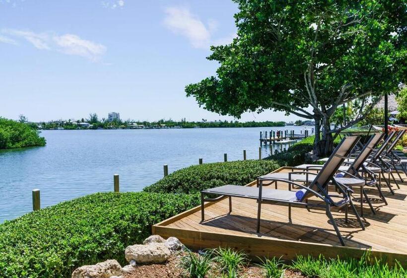 בית מלון כפרי Fairfield By Marriott Inn & Suites Marathon Florida Keys